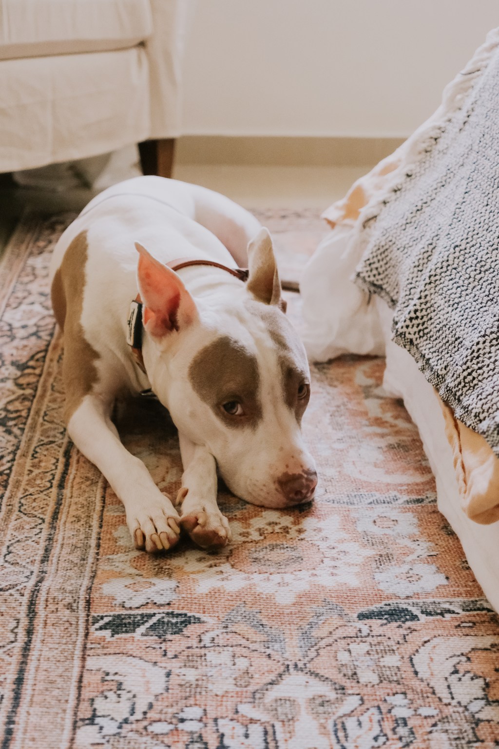 Freedom, Where Art&nbsp;Thou?