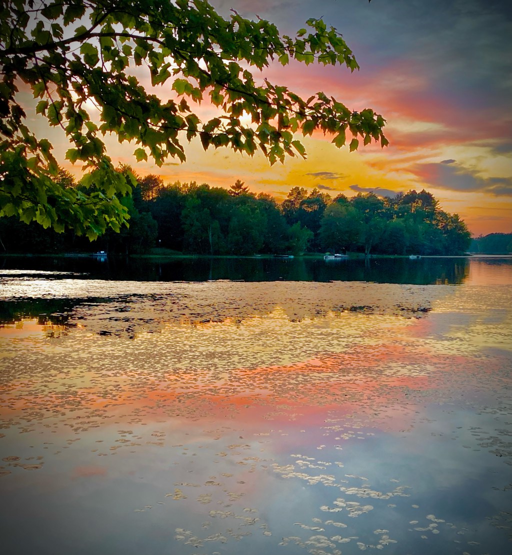 What About Bears? Because You’re Not&nbsp;A-Loon…