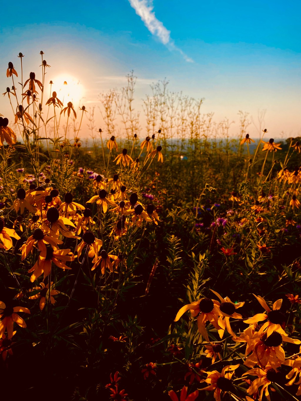 Six Months and&nbsp;Beyond