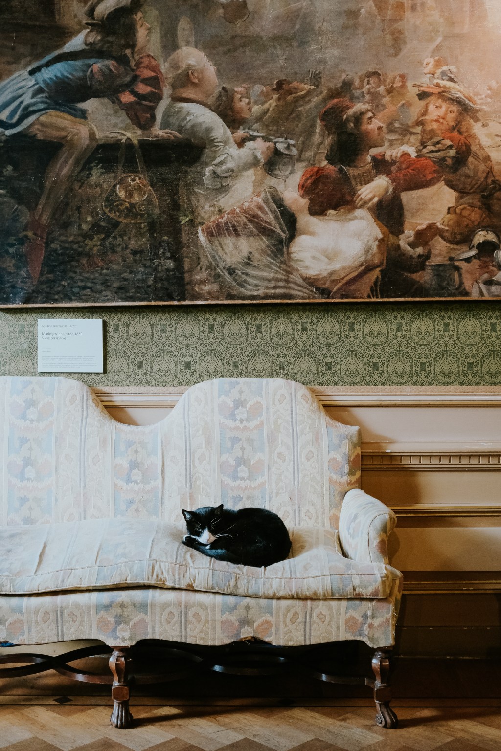 20 Euros For&nbsp;Cats