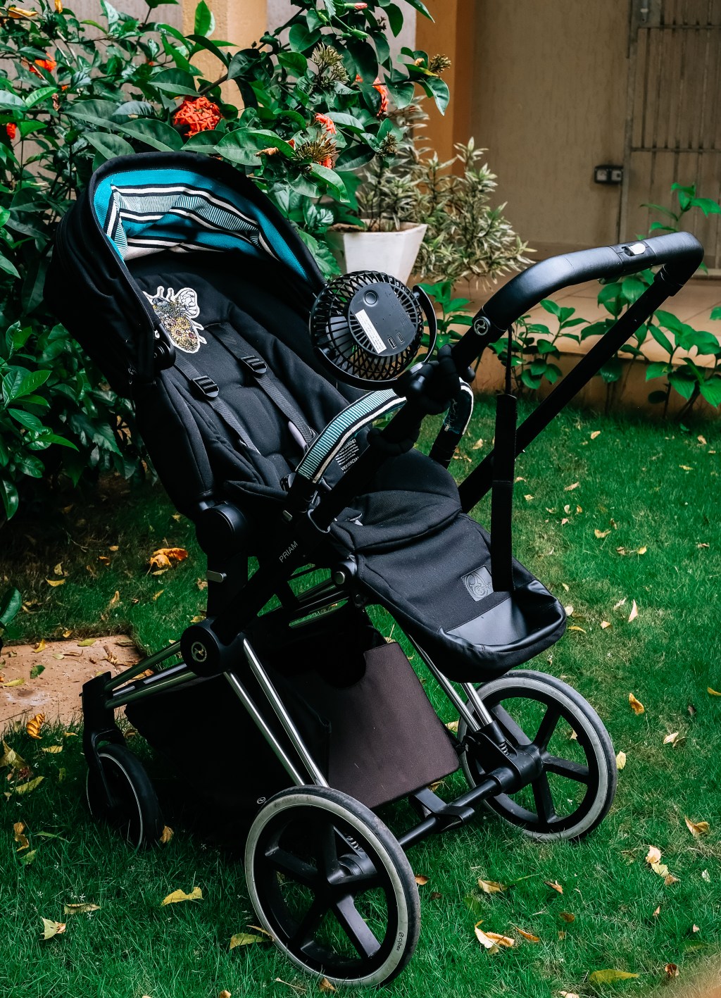A Stroller’s Second Chance at&nbsp;Life