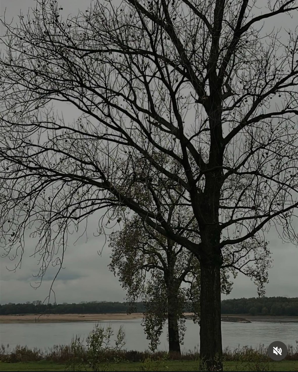 Why I Want to Leave Europe, as an&nbsp;American